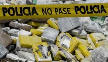 Gana peso tesis legalización de las drogas