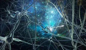 9 hábitos que matan las neuronas y afectan el cerebro