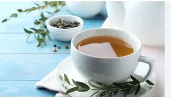 Médico recomienda eucalipto y bebidas naturales para fortalecer las defensas
