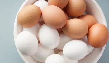 Una que no te sabía: En qué se diferencian los huevos blancos de los colorados!