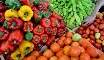 EE.UU. elimina restricciones a exportaciones de frutas y vegetales RD