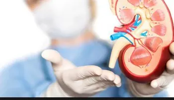 Creatinina en la sangre alta. ¿Cuáles son los valores recomendados?