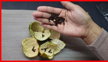 Cascara de mandarina con clavos de olor y lograrás un cambio radical en tu cuerpo