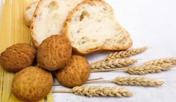 ¿Por qué disminuir el gluten de la dieta?