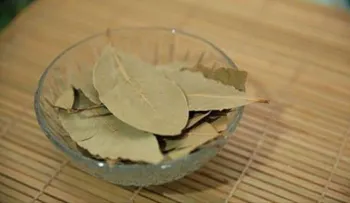 Si quemas esta hoja en tu casa no sabrás el favor que te harás de inmediato 
