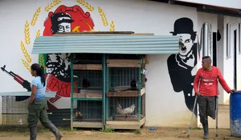 Varios líderes de las FARC abandonaron zonas de reincorporación