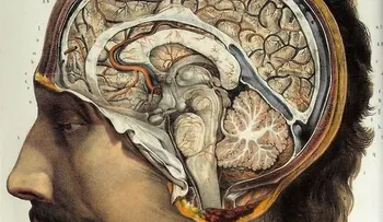 Pedro J. Torres: Manejar las emociones evita la depresión, ansiedad y obesidad