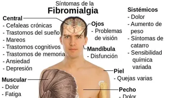 Consumir ciertas cepas de probióticos pueden ser beneficios para personas con fibromialgia