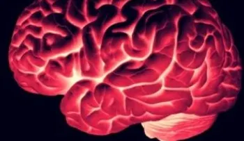 Una nueva técnica de neuroimagen muestra los efectos del LSD en el cerebro 