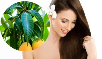 Los mangos alimentan y sirven como mascarillas para el cabello y la piel 