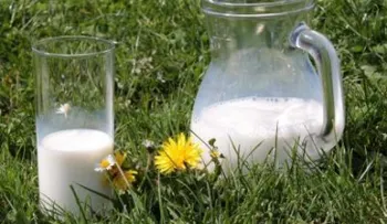 Alimentos que pueden aumentar el riesgo de párkinson
