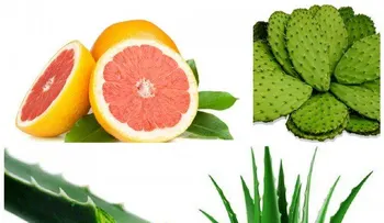 7 razones para utilizar aloe vera (sábila) para tratar la diabetes