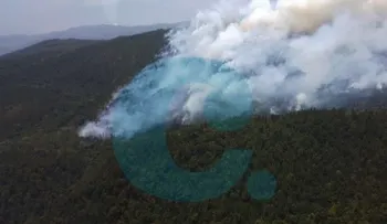 Fuego afecta zona boscosa de Loma de Miranda
