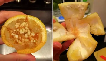 Disparate esta mezcla y no te dará gripe en 6 meses