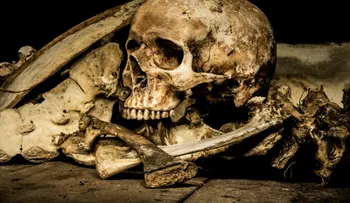 Las organizaciones asesinas secretas más macabras de la historia