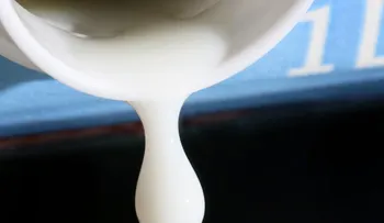 ¿Cuántos nutrientes aportan los lácteos a nuestro cuerpo?