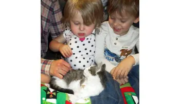 Niña de 2 años con brazo amputado recibe de regalo gatita sin una pata