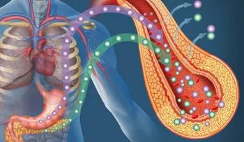 ¿La prediabetes puede aumentar el riesgo de ciertos cánceres?