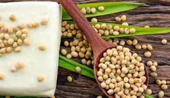 Linaza, soya y clorofila: alimentos que mejoran tu salud