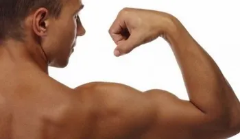 Suplementos que podrían aumentar la testosterona