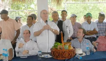 Hipólita Mejía saluda decisión de la JCE de no inmiscuirse en asuntos del PRD