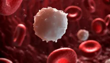 Científicos encuentran la manera de que las células de la leucemia se destruyan entre ellas
