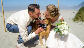 Un perro con cáncer terminal ve el mar por primera vez