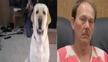 Hombre explota su perra porque estaba â??poseída por el demonioâ?