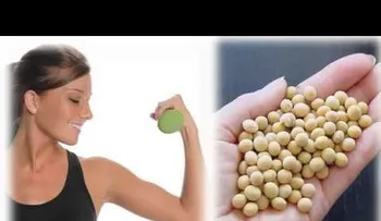 La proteína de soja tiene un efecto antioxidante y protector sobre células del intestino; su consumo beneficia la salud