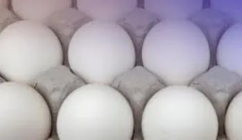 Hieren con huevos putrefactos en un ojo a mujer durante actividad política 