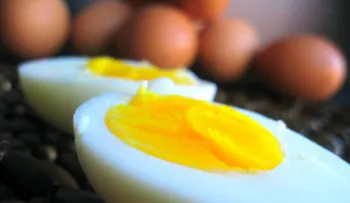 Entérate ¿Qué sucede en tu cuerpo cuando comes huevos?