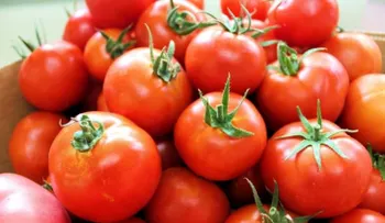 8 alimentos que debes evitar si sufres de insomnio