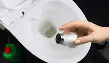 Revolucionario truco de tirar sal en el inodoro