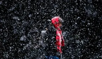 Pronostican tormenta de nieve en noreste de EE.UU. 