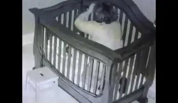 Abuela coloca al bebé en la cama y hace reír a todos 