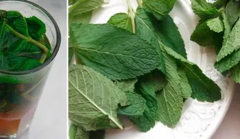 Toma un vaso de esto y dejarás tu hígado como nuevo