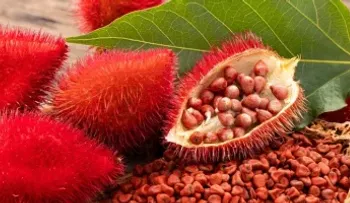 Beneficios de las hojas de achiote para la salud: qué dice la ciencia