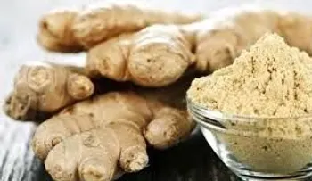 El jengibre para el mal aliento, digestión, mareo, náuseas y otros beneficios para la salud