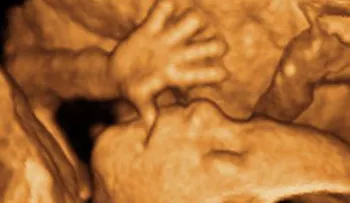 Los "bebés de tres padres" genera polémica en Inglaterra