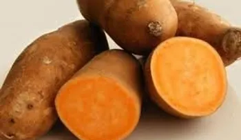 Se cultiva en 82 países y previene varias enfermedades 