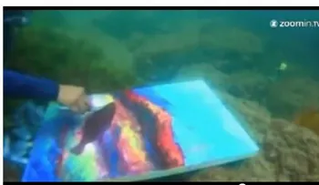 El hombre que pinta bajo el agua
