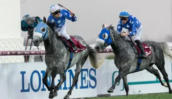 ¿Por qué los caballos son un gran negocio en Qatar?