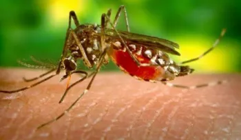 Calculan en 150 personas fallecieron por la malaria en 2016