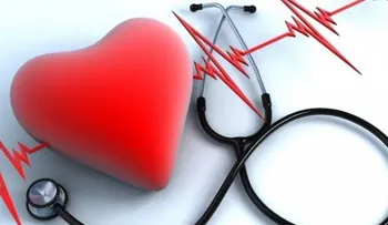 Prueban con éxito células madre para reparar corazones infartados