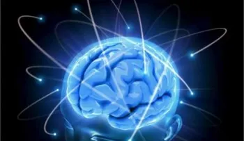 Identifican el mecanismo neural responsable del dolor crónico