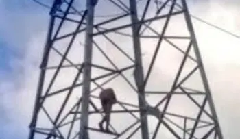 Rescatan hombre estaba desnudo torre eléctrica en Villa Mella