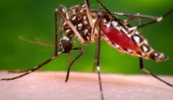 Registran primera muerte asociada al virus del Zika en los EEUU continentales