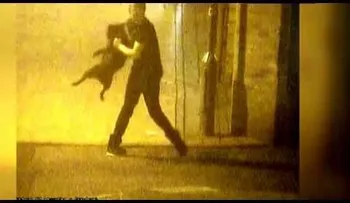Espeluznante: un británico tortura  a "su mejor amigo"   (VIDEO)