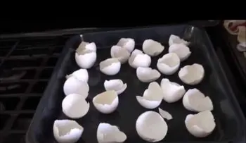 Asombroso: Por qué ella cocina las cáscaras de huevo en el horno (VIDEO) 