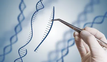 La edición genética logra en ratones prevenir una rara enfermedad hepática